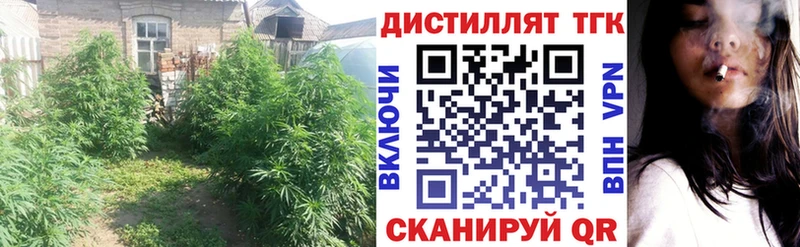 Купить где  Лысьва  ТГК THC oil 