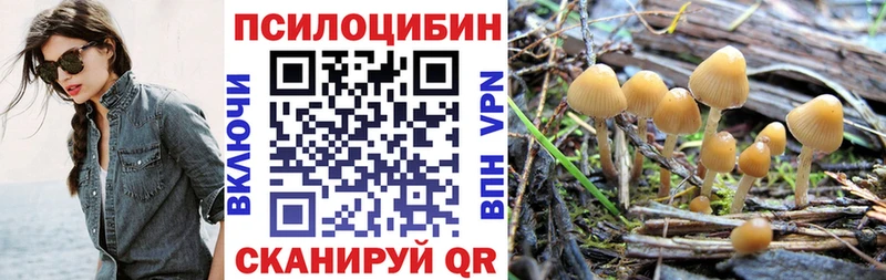 Купить  Лысьва  Галлюциногенные грибы Cubensis 